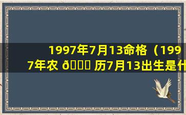 1997年7月13命格（1997年农 🐟 历7月13出生是什么命）